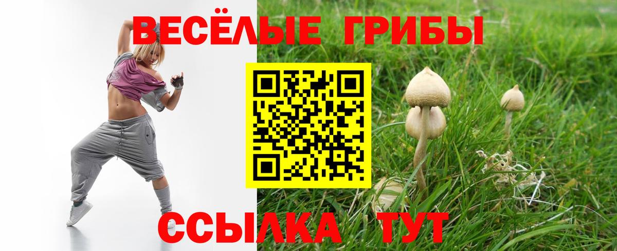 цена   Галлюциногенные грибы ЛСД  Волжск  Вход с VPN  Галлюциногенные грибы Psilocybe 